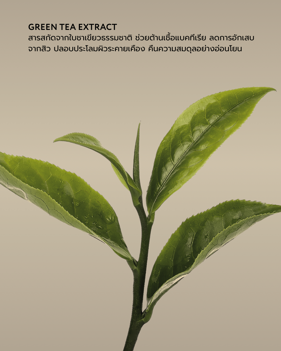 รักษาสิวหลัง