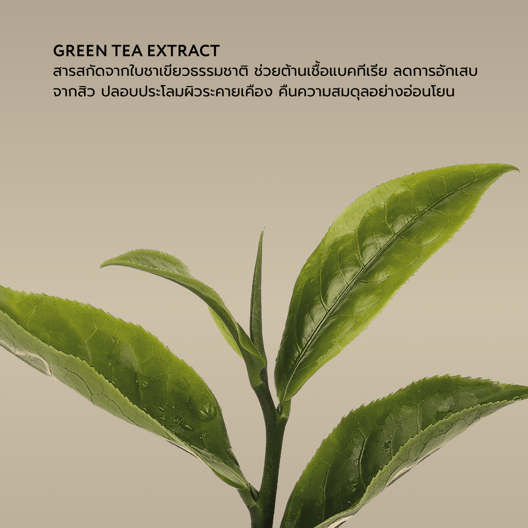 เจลอาบน้ำลดสิวหลัง Tea & Thyme Body Wash ขนาด 300ml สูตรลดสิวหลัง - lamuseandco-LAMUSE&CO.