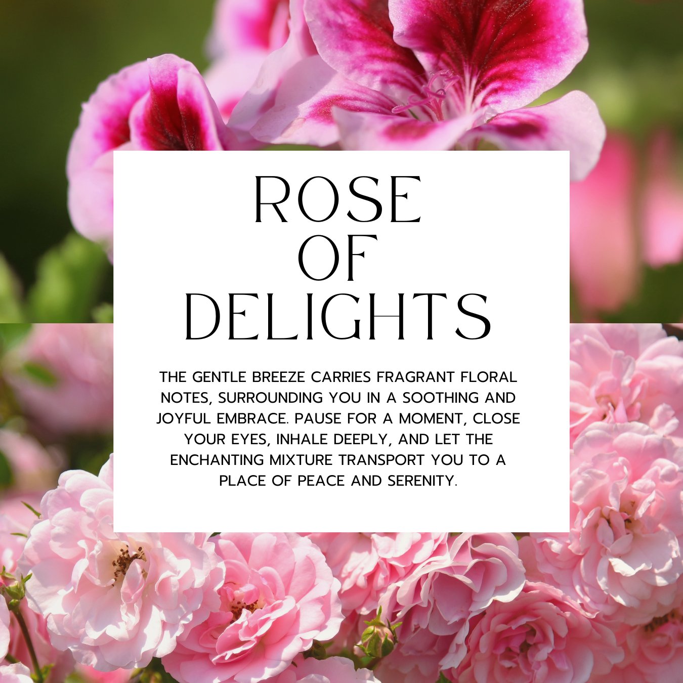 Rose Of Delights Body Wash ขนาด 300ml