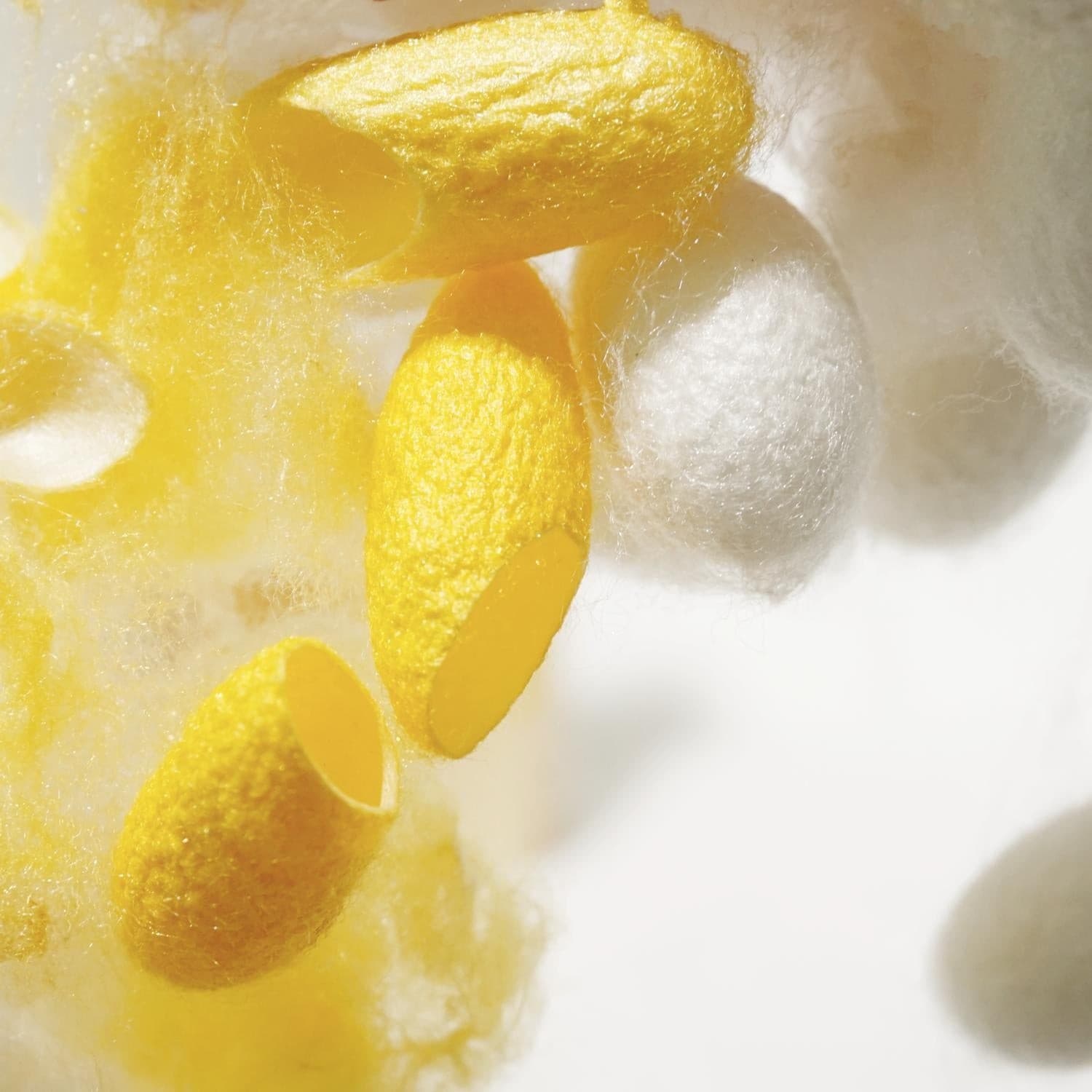 SILK COCOON SOAP BAR